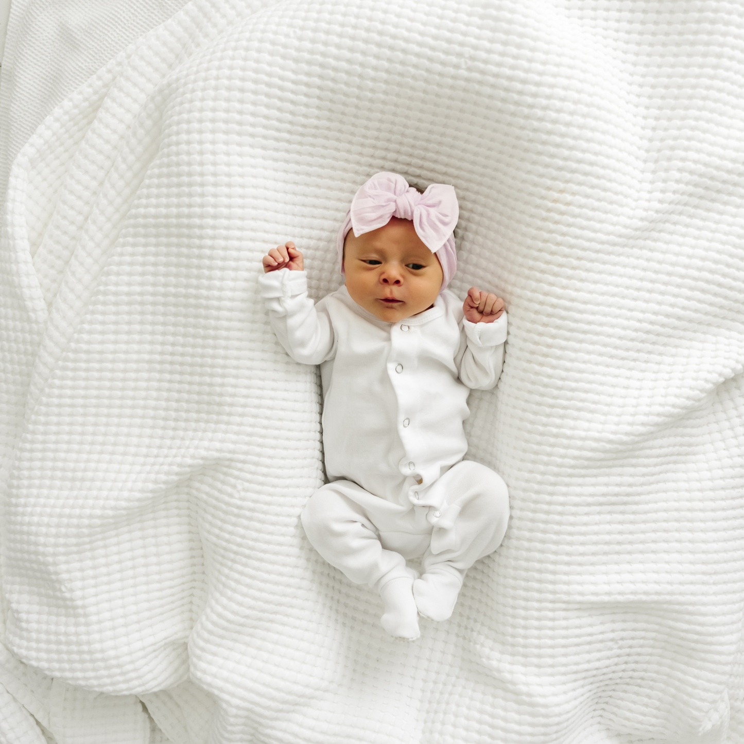 KNOT: primrose *MAR '25*